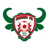 https://img.lwcwj.com/img/football/team/2405bd03a965133ef0e00fa30618e035.png