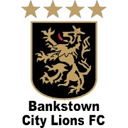 https://img.lwcwj.com/img/football/team/3611895b1d993768346b422472166483.png